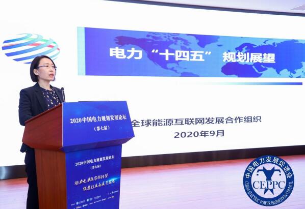 详细议程发布！电力规划发展论坛和院士电力央企