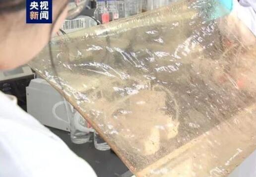 国产新型离子膜问世，有望在新能源的储能领域广