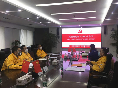 徐州华润电力有限公司党委组织召开党委理论学习中心组学习会议