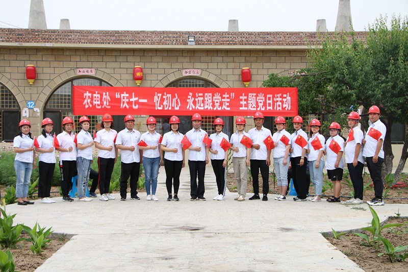 乌海电业局农电处“庆七一  忆初心  永远跟党走”主题党日活动