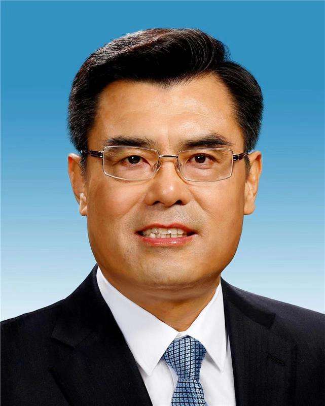 舒印彪：践行能源安全新战略为“六稳”“六保”注入新动能