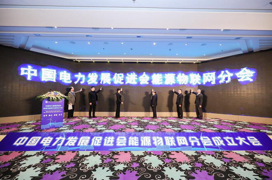 米乐官方网页版能源物联网分会在京成立