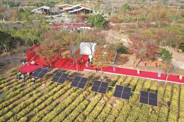 江苏省首个“茶光互补” 每年光伏发电1万度助力茶企生产