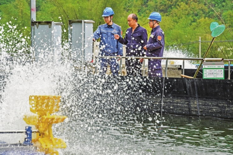 南方电网公司全力服务乡村振兴速写