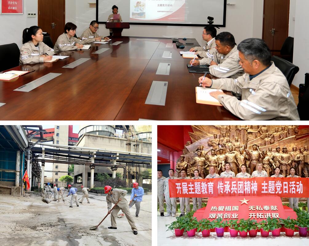 大唐环境特许经营分公司“多彩”主题党日丰富主题教育形式