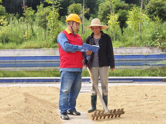 国网衢州供电公司红船服务“零距离”电助水稻“喜丰收”