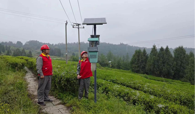 国网古丈县供电公司村网共建进村 助力乡村振兴
