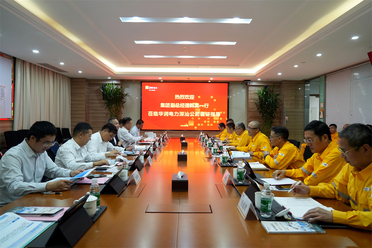 华润集团韩嵩副总经理赴华润电力深汕公司调研