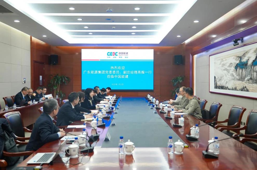 中国能建党委常委李丽娜与广东能源集团副总经理高振会谈