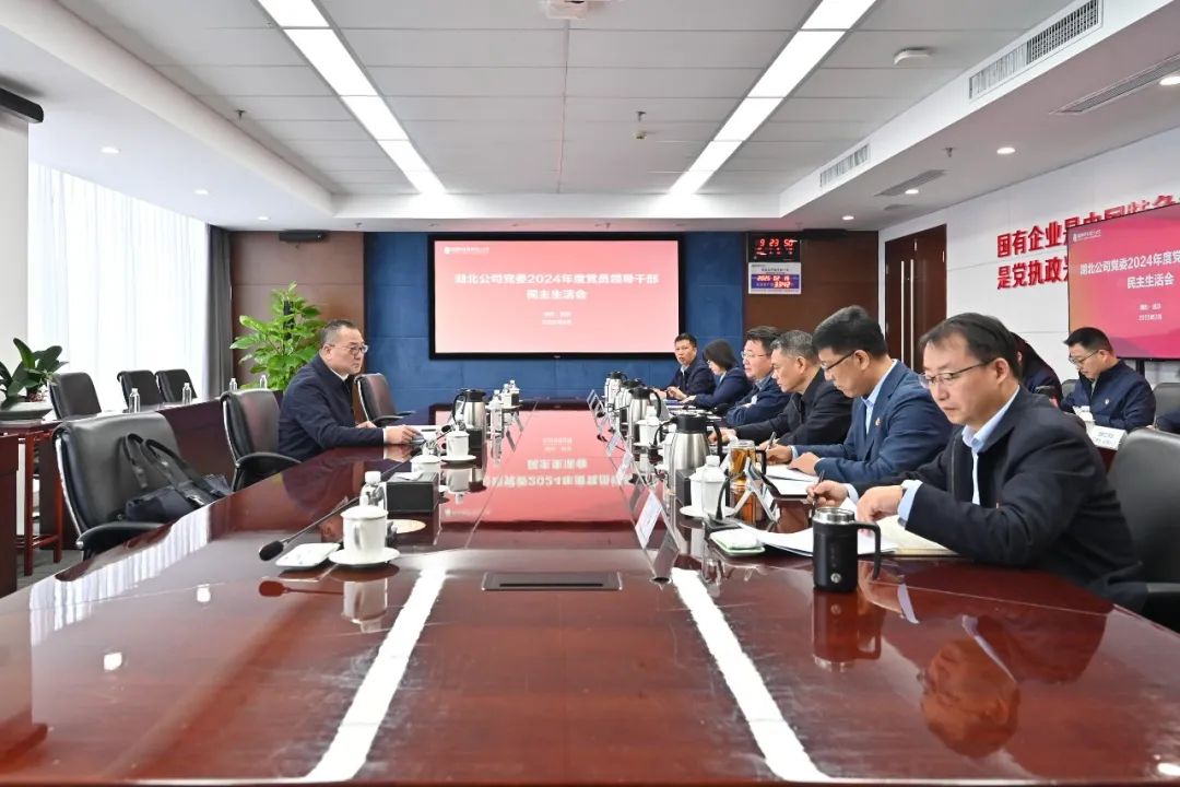 国家电投湖北公司党委召开2024年度领导班子民主生活会